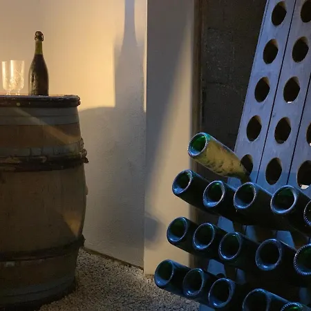 Nuances Simplicity And Elegance 8-pers * Эперне