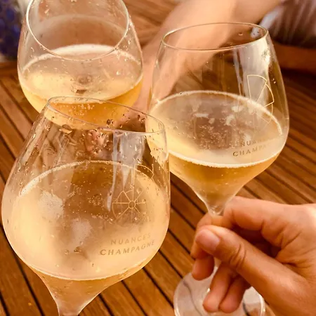 Nuances Simplicity And Elegance 8-pers * Эперне