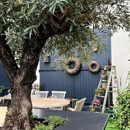 Nuances Simplicity And Elegance 8-pers * Эперне